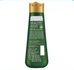 ⁦شامبو لتساقط الشعر من كيش كينج بالصبار 340 مل⁩ - الصورة ⁦2⁩