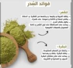 Quarter kilo of ground sidr - sidr leaf powder - Image 2